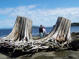 winter storms bring new sculptures from who knows where